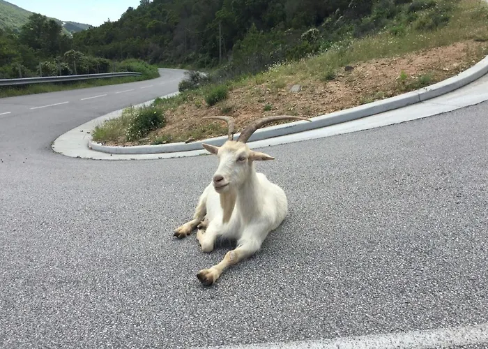 Marlene - Terrace Free Parking - By Tgb אז'אקסיו
